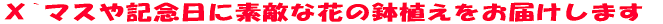 wf}XɑfGȔẢԂ͂܂B 